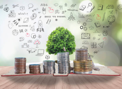 Connect with Mind Laws and Eco Laws